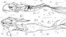 Race doodle