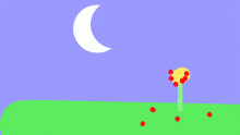 The flower in the night