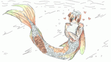 Koi Fish