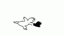 how holy lost his hat
