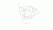 teeth