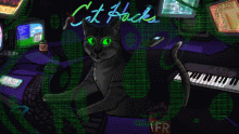 Cat Hacks