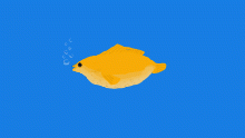 Guppy