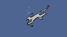 Aro goes for a swim