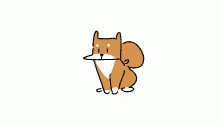 shib says hi