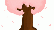 Sakura tree