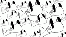 School of fish
