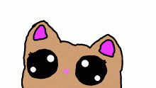 Hamster
