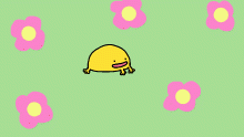 frog in the flowers :D