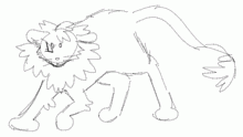 kitty