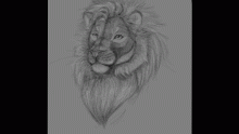 mm dooble.
