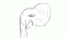elephant head