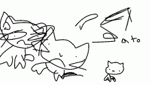 el gato
