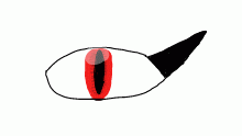 an eye