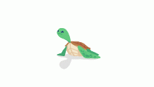 This is Tim