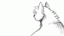 Hawkstripe