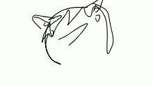Hai