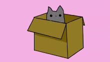 Avatar for teddyisthebestbear