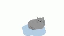 In Honor of Pusheen Potato
