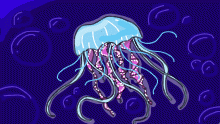 jellyfish