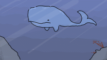 Whale