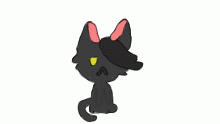 The most emo cat