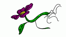A simple flower.