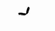 Flying Test