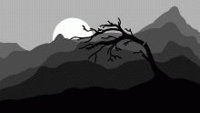 sunset and tree