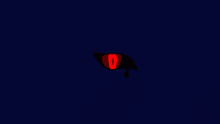 eye