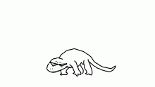 heres a lizard
