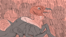 vulture pony