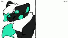 How do you draw Nova