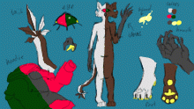 Estrella Rota Reference Sheet