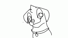 wink wonk
