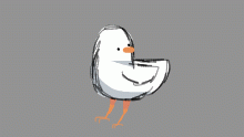 bird