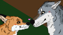 A Fox and A Wolf