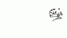 toon tater tots died