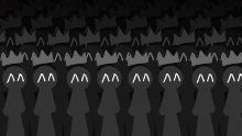 here we observe a pack of lazylife