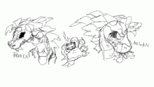 Yayyy dragons