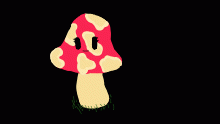 New OC Mushka