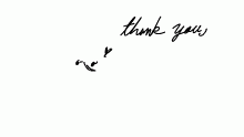 thank you for following!