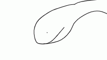 brachiosaurus head