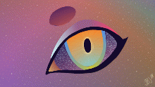 eye of the sky