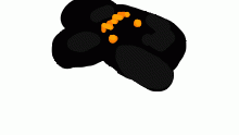 mitten.
