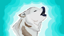 Avatar for Camodoggo