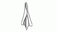 Cloth Improvement