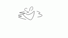 WHITEBOARD
