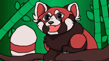 Red panda