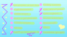 um i did my own checklist